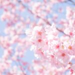 ちょっとグレーなブログ展開の仕方