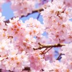 ツールが稼ぐわけではない